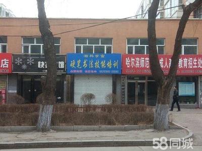 绥棱县棱通信息技术咨询服务 赋能数字化转型的专业力量