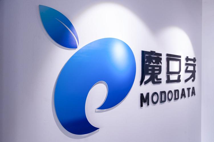 信息技术服务全景 从开发到咨询的一体化赋能